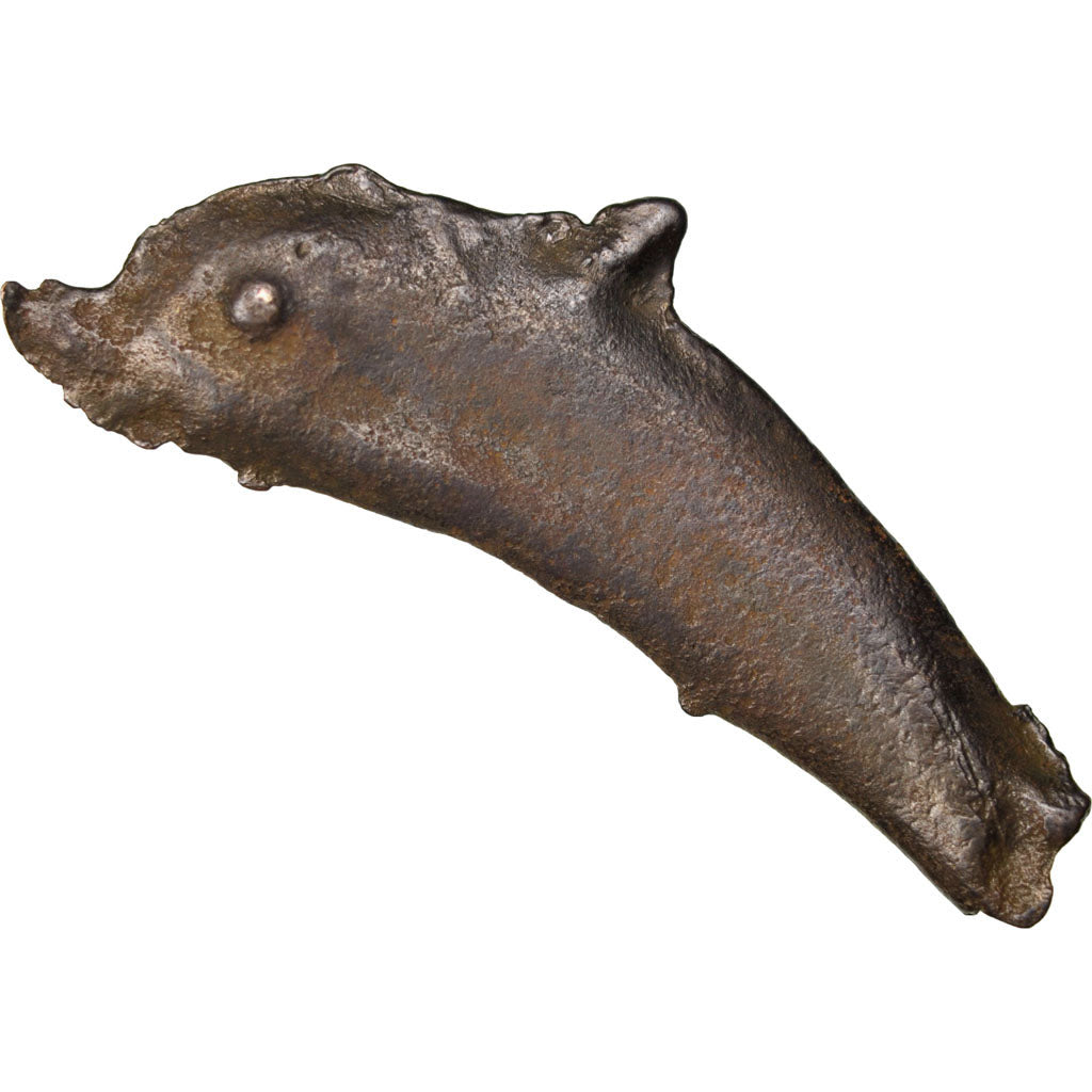 Sarmatia, Olbia, Dolphin, Olbia, EF(40-45), Bronze, 1.93