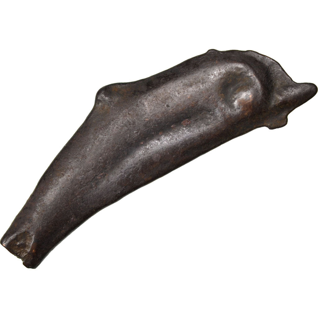 Sarmatia, Olbia, Dolphin, Olbia, EF(40-45), Bronze, 1.92