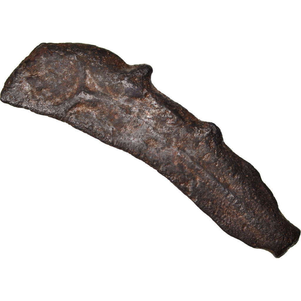 Moneta, Sarmatia, Olbia, Dolphin, Olbia, MB+, Bronzo
