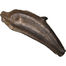 Sarmatia, Olbia, Dolphin, Olbia, EF(40-45), Bronze, 1.87