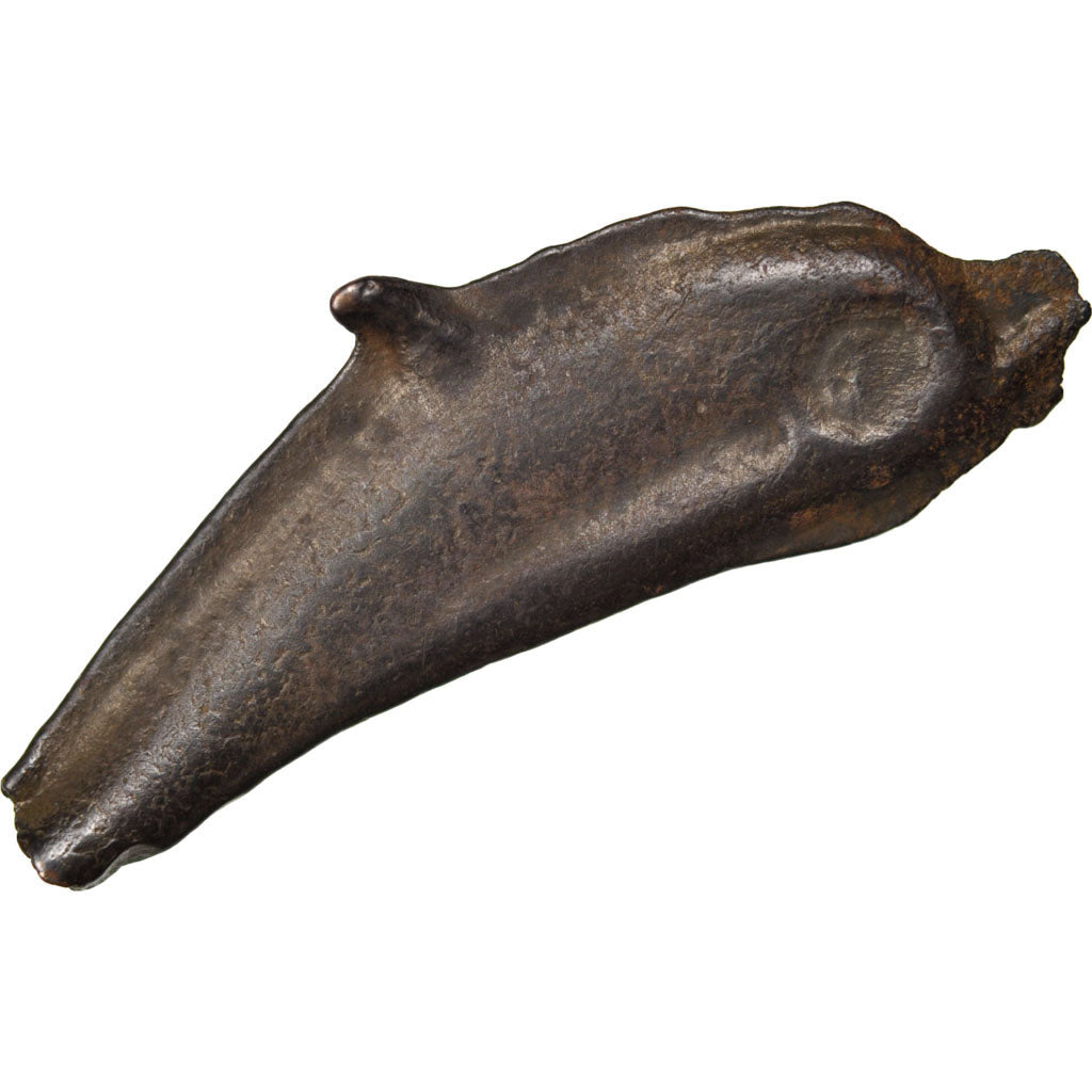 Sarmatia, Olbia, Dolphin, Olbia, EF(40-45), Bronze, 1.87