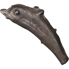 Sarmatia, Olbia, Dolphin, Olbia, EF(40-45), Bronze, 2.06
