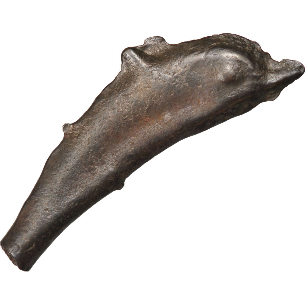 Sarmatia, Olbia, Dolphin, Olbia, EF(40-45), Bronze, 2.06