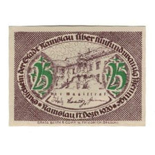 Banknot, Niemcy, Namslau Stadt, 25 Pfennig, valeur faciale, 1920, 1920-12-17
