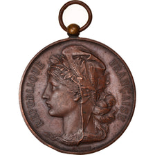 Frankrijk, Medaille, Marianne, République Française, Politics, Society, War