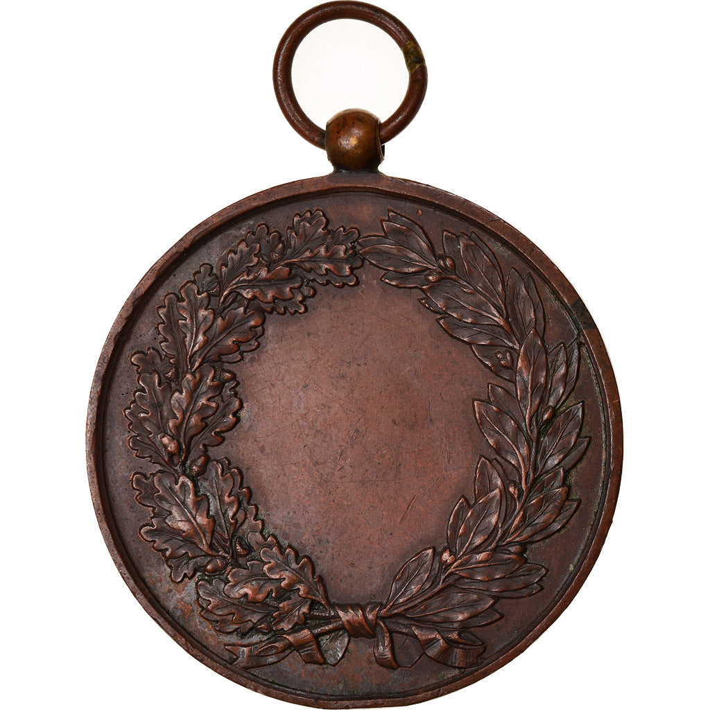 Frankrijk, Medaille, Marianne, République Française, Politics, Society, War
