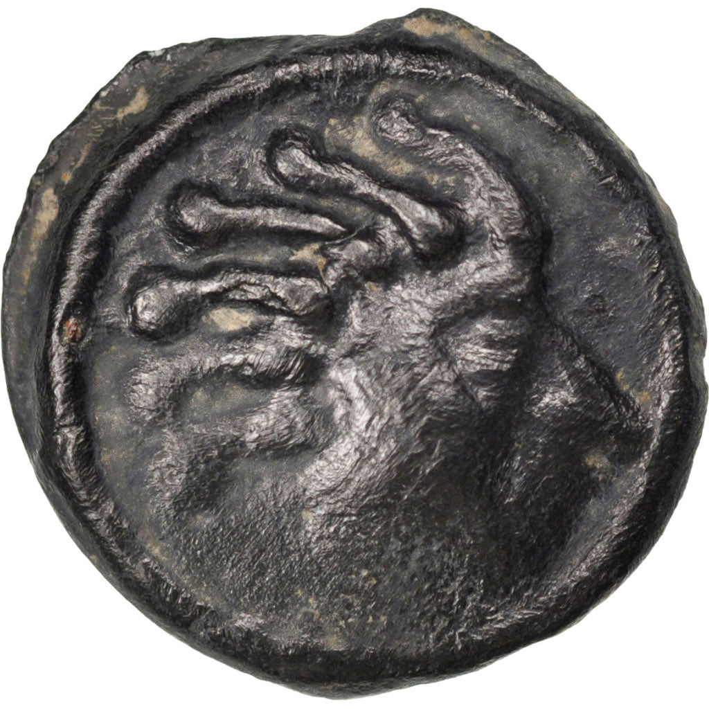 Sénons, région de Sens, Potin à la tête d'indien