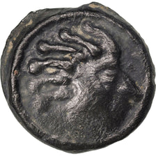 Sénons, région de Sens, Potin à la tête d'indien