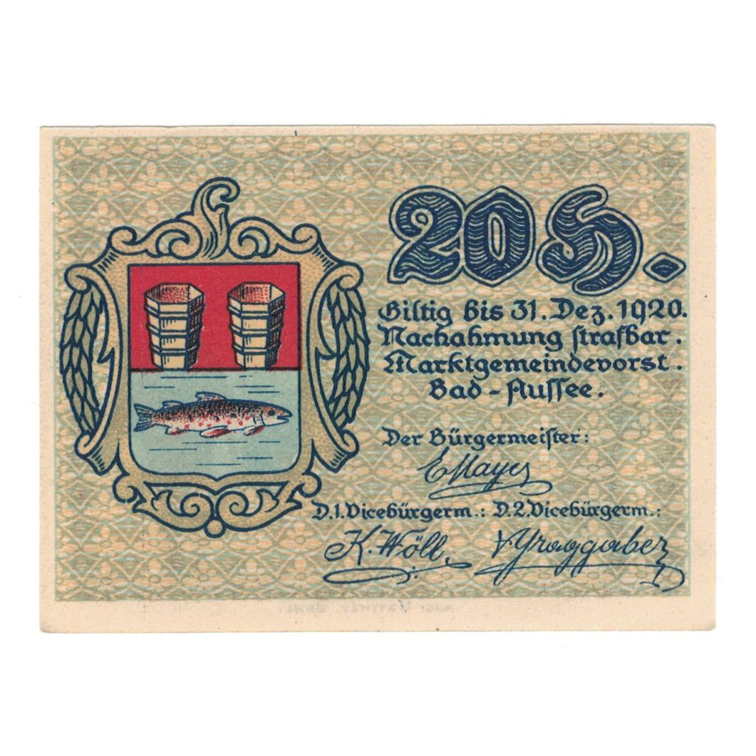 Geldschein, Österreich, Bad Aussee Stm. Marktgemeinde, 20 Heller, poisson