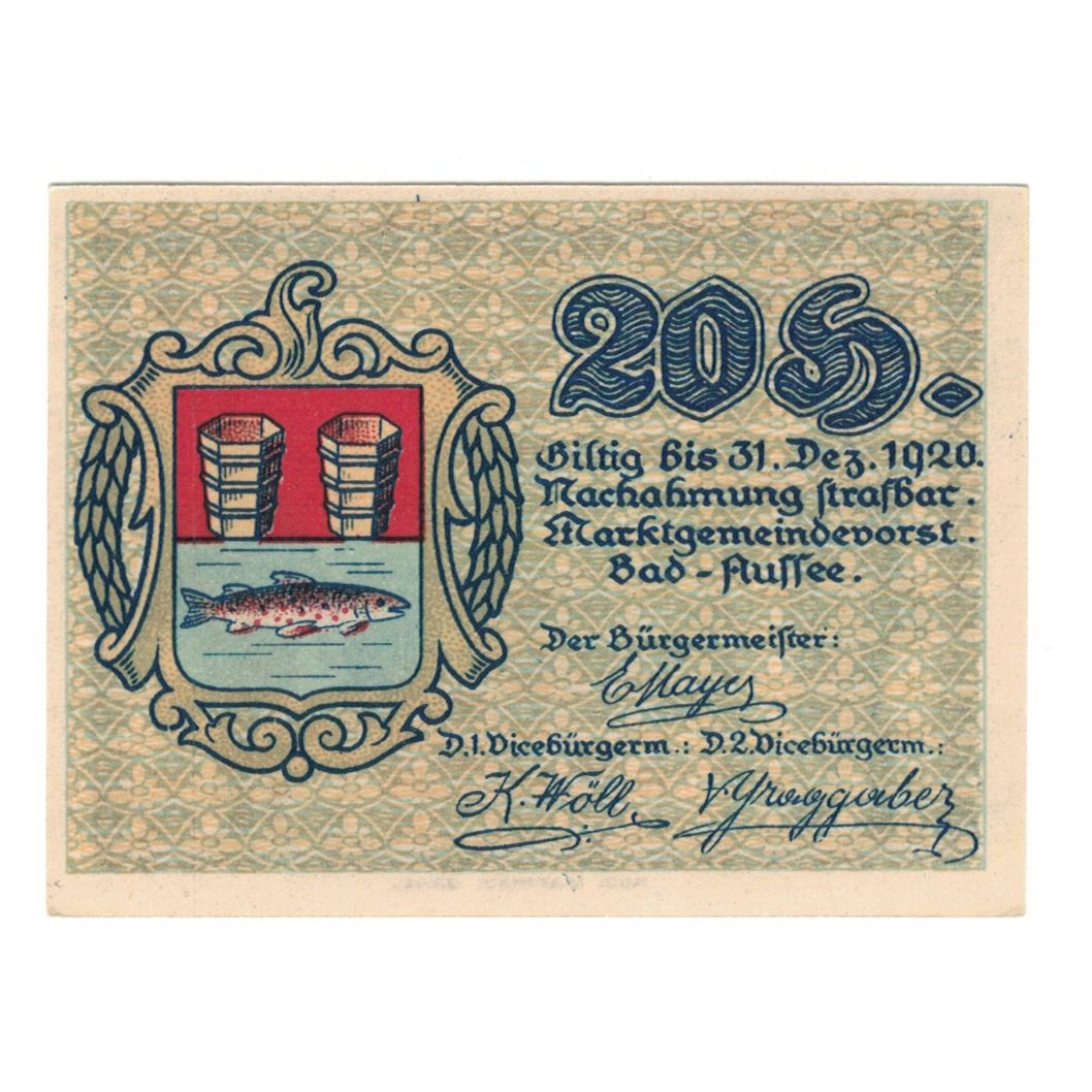 Banknote, Austria, Bad Aussee Stm. Marktgemeinde, 20 Heller, Poisson 1, 1920