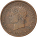 Italie, Royaume de Napoléon, Soldo