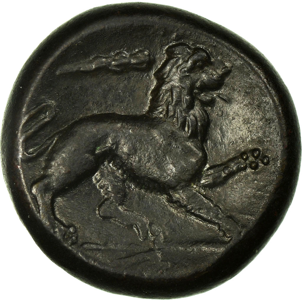 Coin, SICILIA, Syracuse, Heracles, Bronze Æ, Syracuse, AU(50-53), Bronze