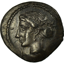 Coin, SICILIA, Syracuse, Arethusa, nymph, Hemilitron, Syracuse, AU(50-53)