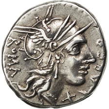 Fabia, Denarius, Roma, AU(50-53), Silver, Babelon #1, 3.92