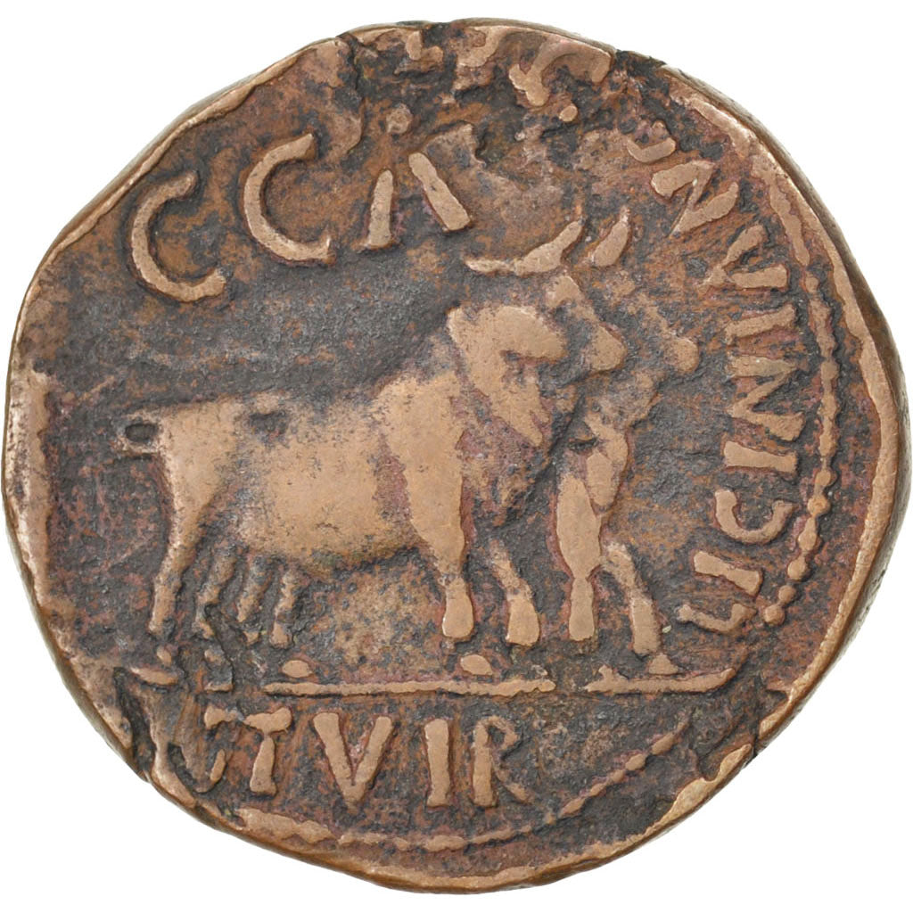 Caligula, As, Caesaraugusta, EF(40-45), Bronze, 11.95