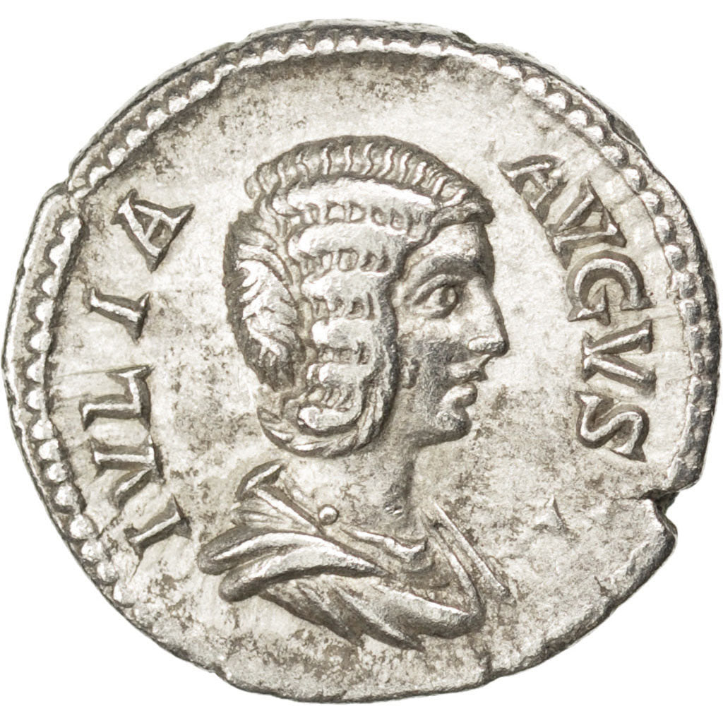 Julia Domna, Denarius, Roma, AU(50-53), Silver, RIC #552, 3.24