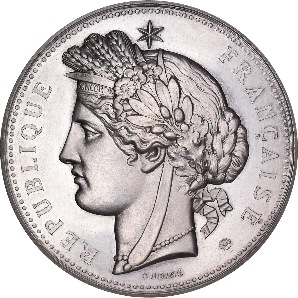 França, medalha, Prix d'Honneur, Natation, Toulon, Sport, 1880, Oudiné
