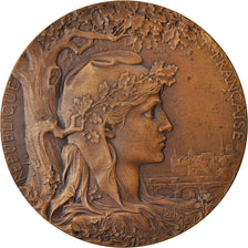 France, Medal, Exposition Universelle Internationale de 1900, Paris, 1900