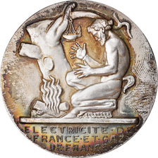 Frankrijk, Medaille, Électricité de France et gaz de France, Business &