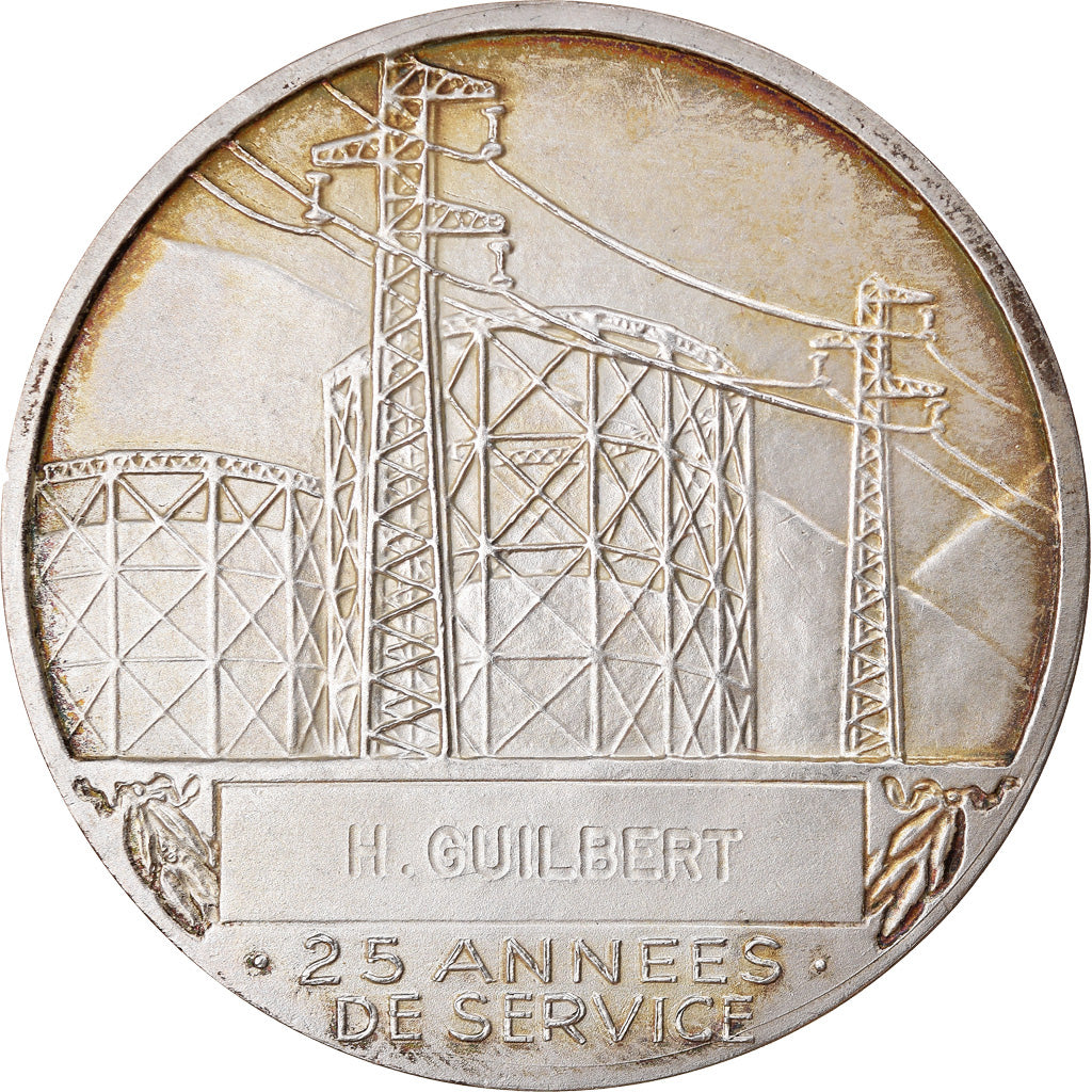 Frankrijk, Medaille, Électricité de France et gaz de France, Business &