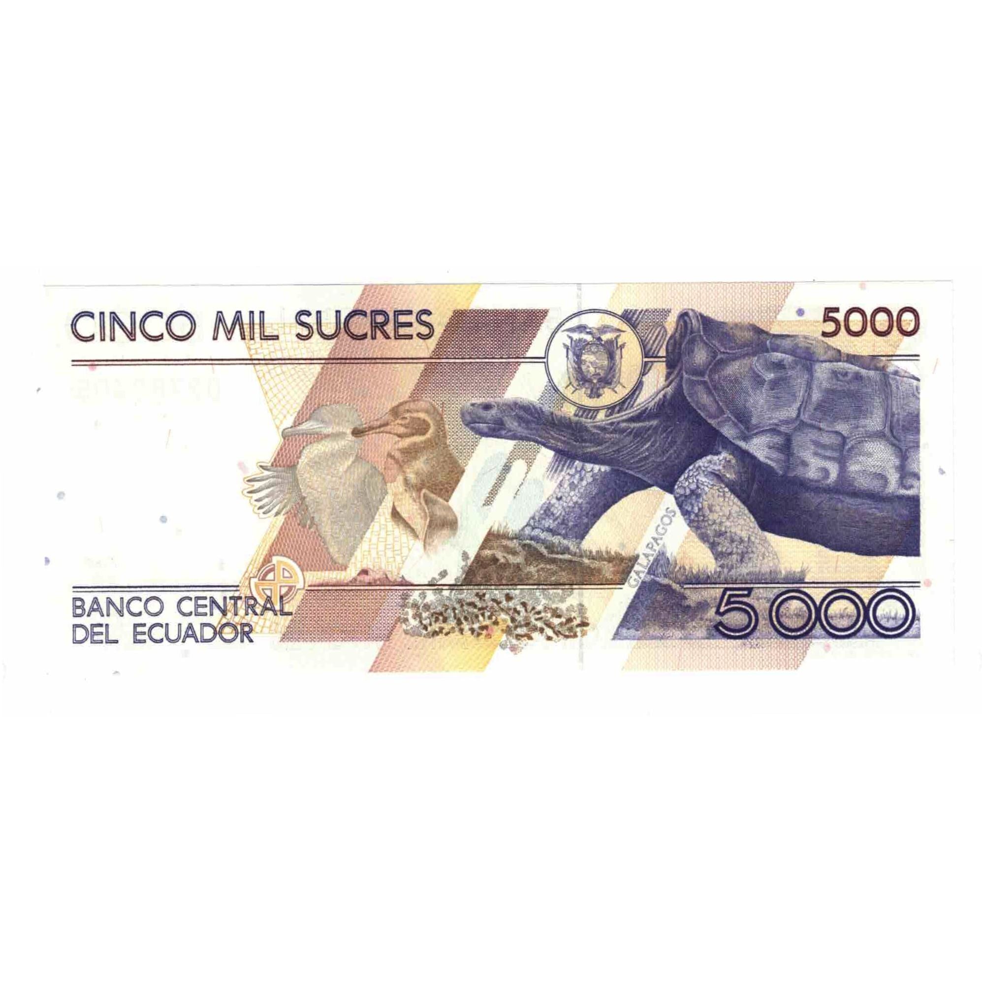 Banknote, Ecuador, 5000 Sucres, 1999, 1999-03-26, KM:128c, UNC(65-70)