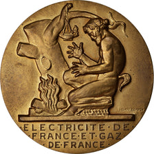 Frankrijk, Medaille, Électricité de France et gaz de France, Business &