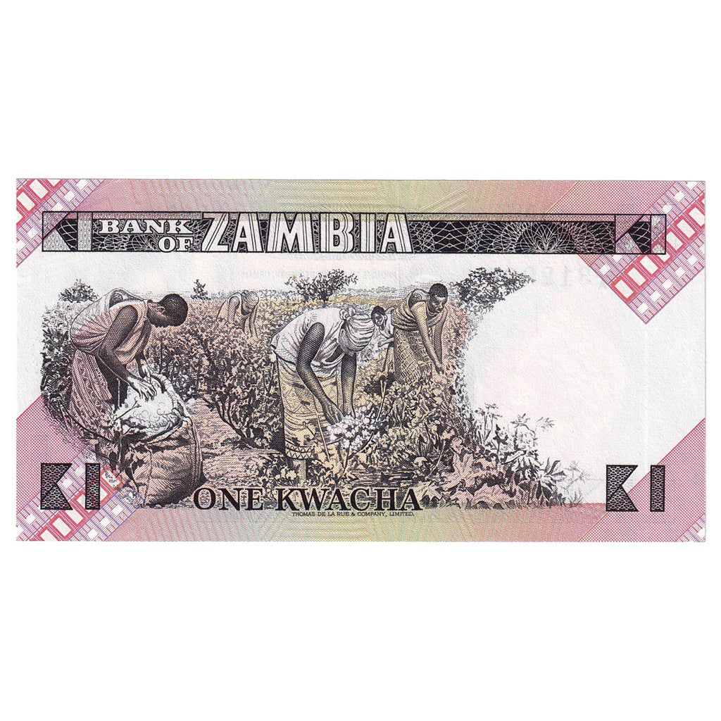 Banknote, Zambia, 1 Kwacha, 1980-1988, KM:23b, UNC(65-70)