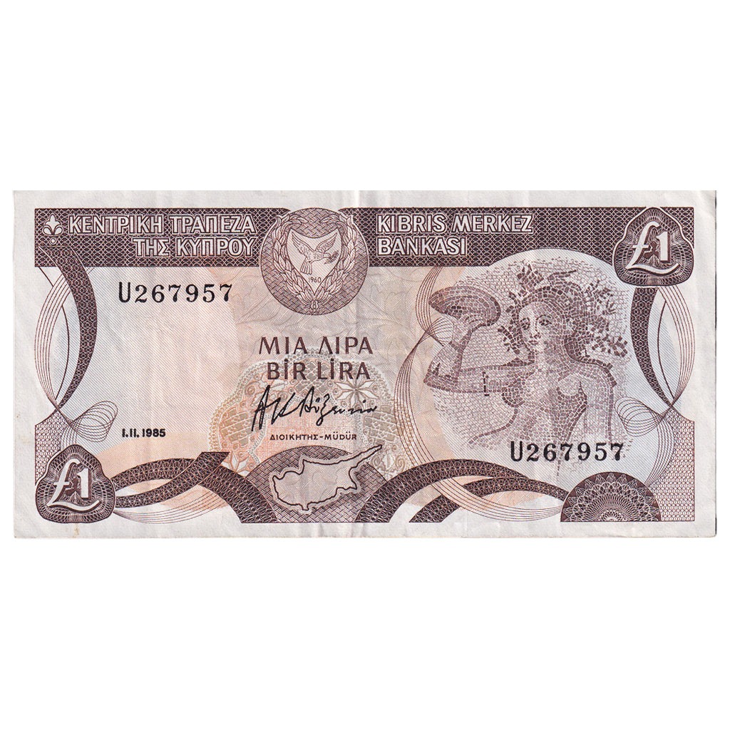 Banknote, Cyprus, 1 Pound, 1985, 1985-11-01, KM:50, EF(40-45)