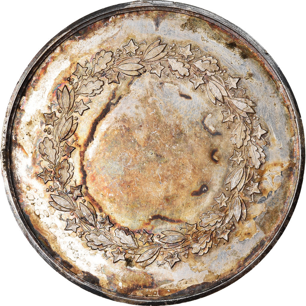 France, Medal, Ville d'Amiens, 1862, Dantzell, AU(55-58), Silver