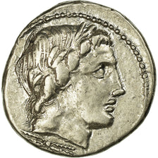 Coin, Anonymous, Denarius, Roma, AU(50-53), Silver, Babelon:226