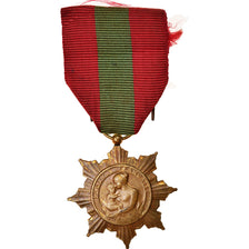 France, Famille Française, Médaille, Très bon état, Bronze, 35.5