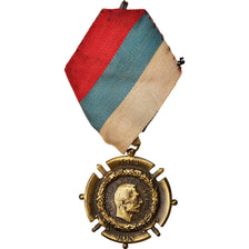 Serbia, Médaille commémorative de Serbie, Medal, 1914-1918, Excellent Quality