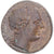 Moneda, Bruttium, Æ, late 3rd century BC, Petelia, MBC+, Bronce, HN Italy:2455