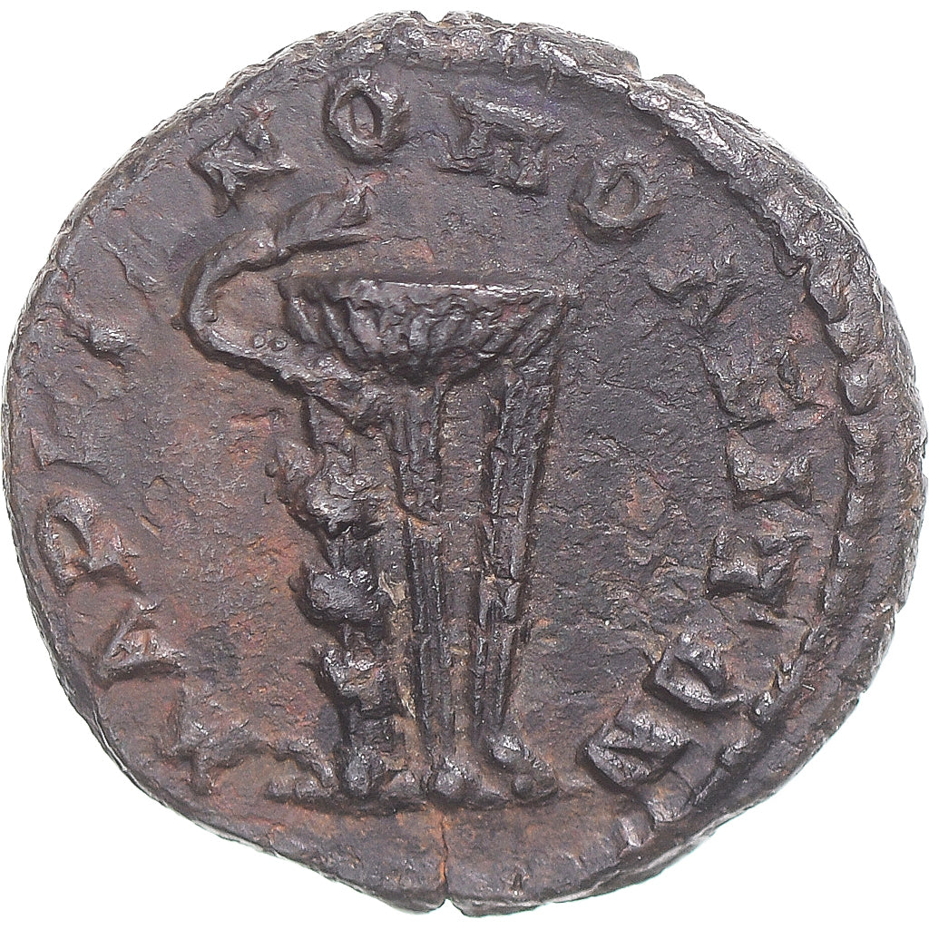 Coin, Moesia Inferior, Diadumenian, Æ, 217-218, Marcianopolis, EF(40-45)