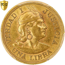Moneda, Perú, Libra, 1907, Lima, GOZG, PCGS, AU58, EBC, Oro, KM:207, graded