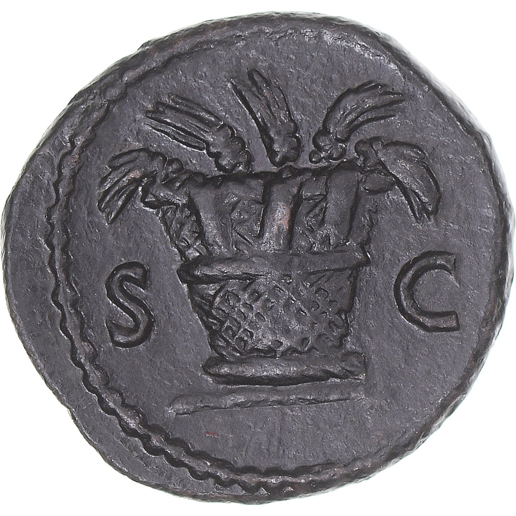 Coin, Domitian, Quadrans, 85, Rome, AU(50-53), Bronze, RIC:316