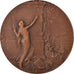 France, Medal, Art Nouveau, Journal Le Matin, Riberon, MS(63), Bronze