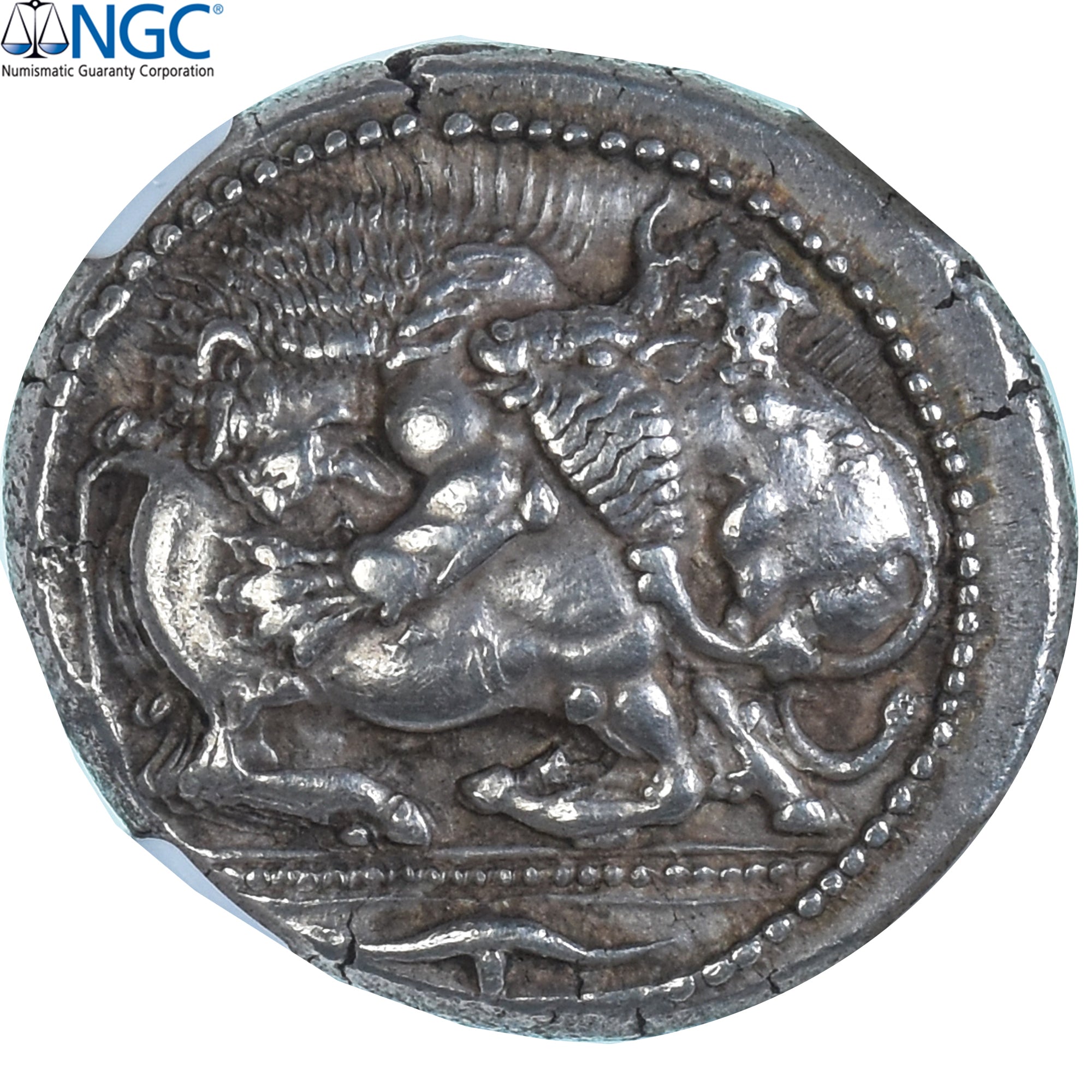 Coin, Macedonia, Tetradrachm, ca. 525-470 BC, Akanthos, graded, NGC, Ch XF 5/5