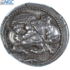 Coin, Macedonia, Tetradrachm, ca. 525-470 BC, Akanthos, graded, NGC, Ch XF 5/5