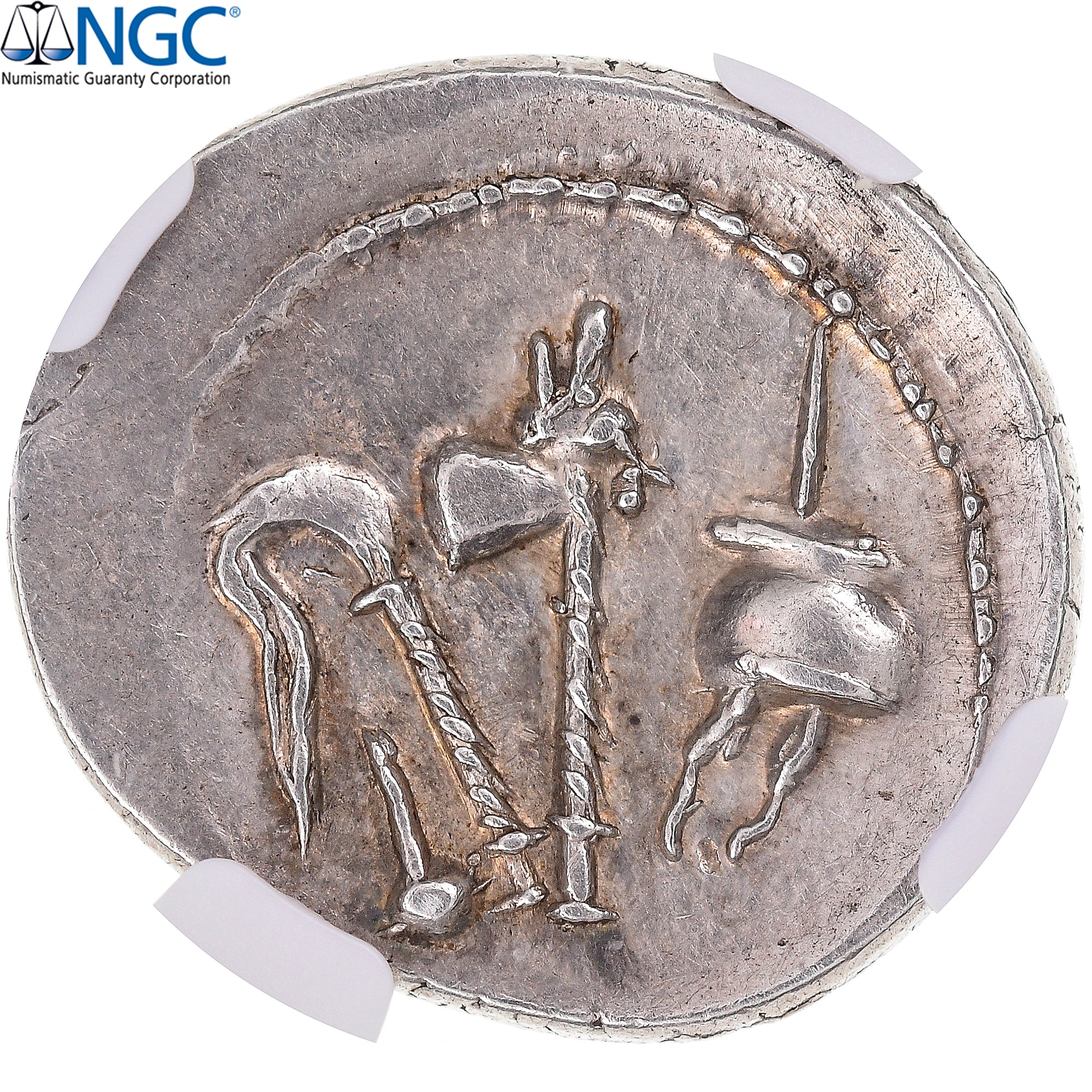 Coin, Julius Caesar, Denarius, 49-48 BC, Military mint, graded, NGC, AU 5/5 4/5