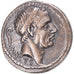 Coin, Marcia, Denarius, 56 BC, Rome, EF(40-45), Silver, RIC:382