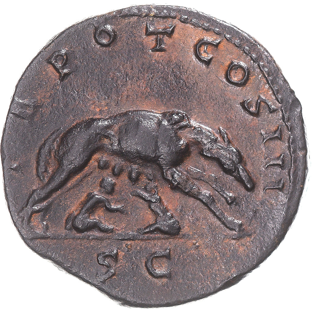 Moneta, Antoninus Pius, Sesterzio, 140-144, Rome, BB+, Bronzo, RIC:648