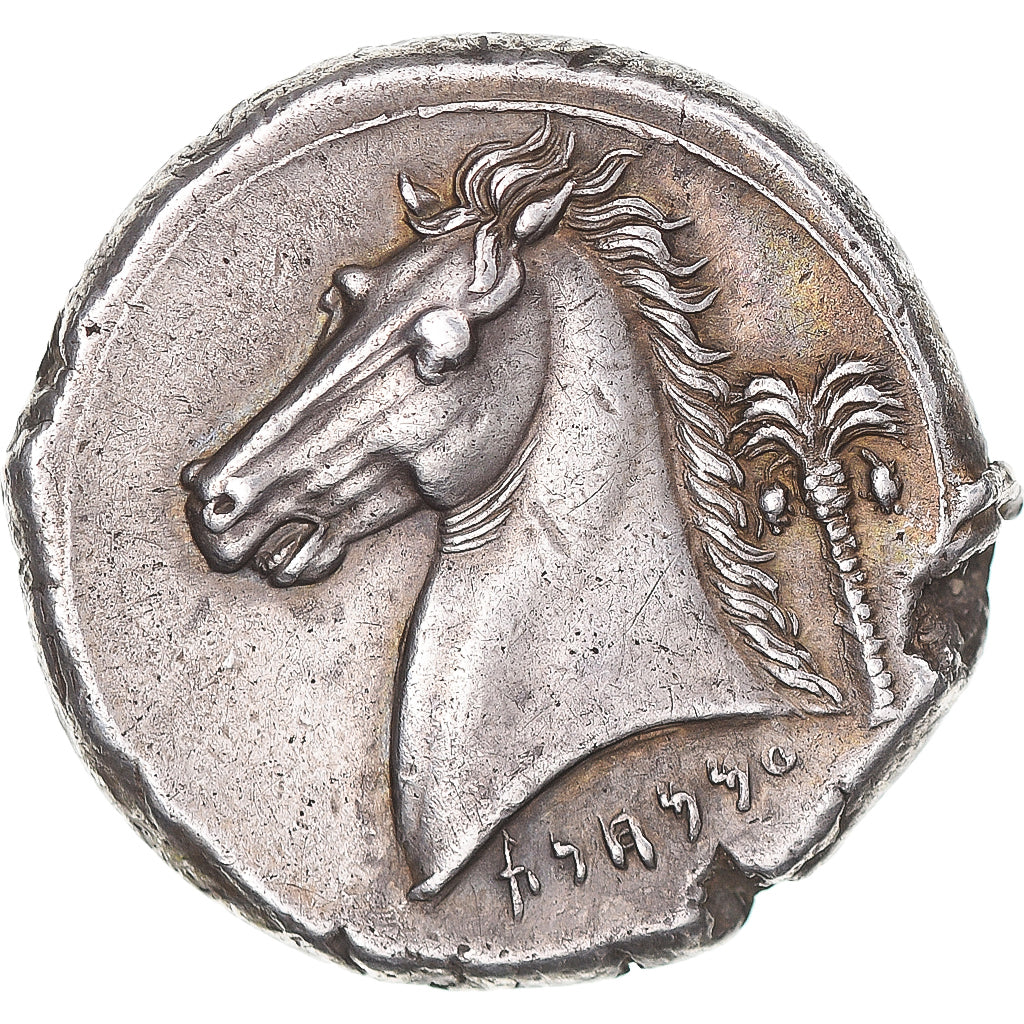 Coin, Sicily, Siculo-Punic, Tetradrachm, ca. 390-300 BC, AU(55-58), Silver