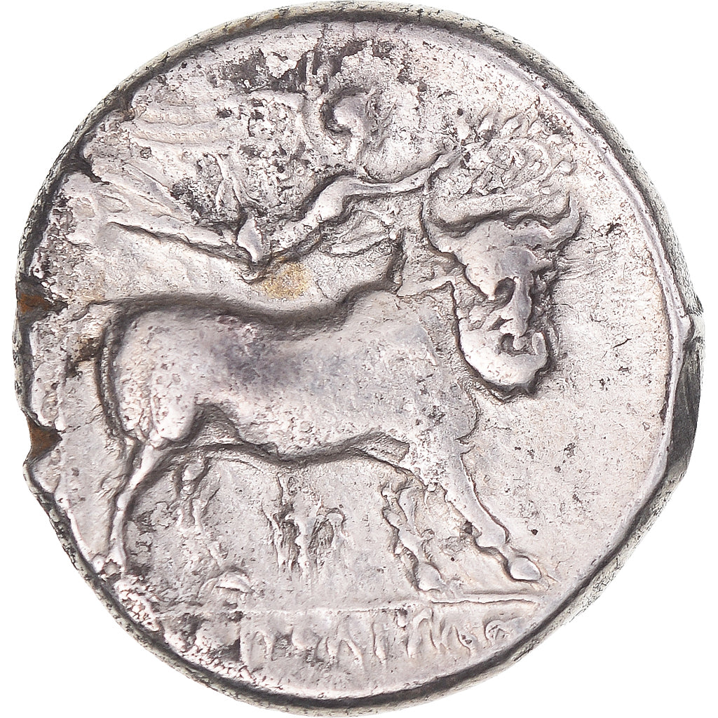 Moneta, Campania, Didrachm, ca. 300-275 BC, Neapolis, BB, Argento, HN Italy:579