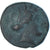 Monnaie, Lucanie, Æ, ca. 300-250 BC, Metapontion, TB, Bronze, HN Italy:1695