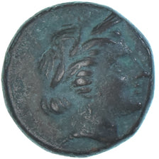 Moeda, Lucânia, Æ, ca. 300-250 BC, Metapontion, VF(20-25), Bronze, HN