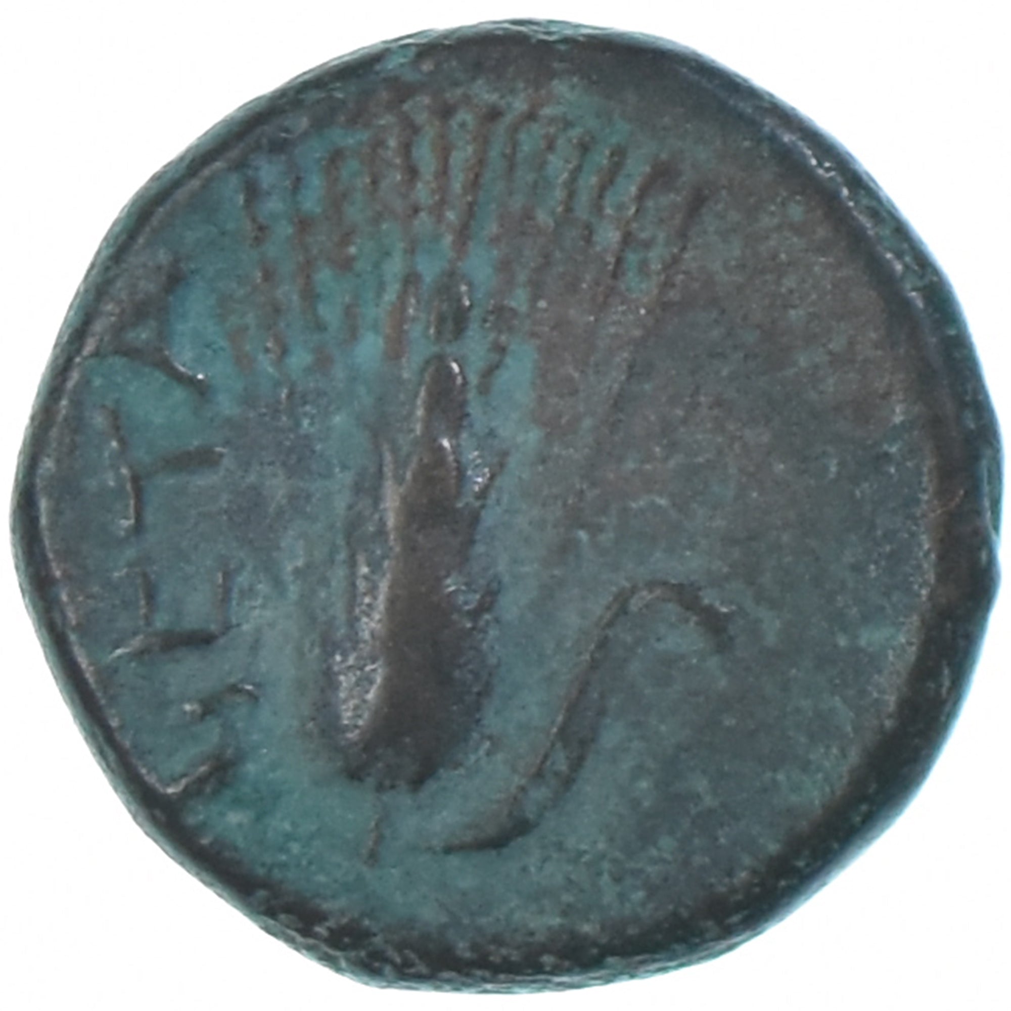 Moeda, Lucânia, Æ, ca. 300-250 BC, Metapontion, VF(20-25), Bronze, HN
