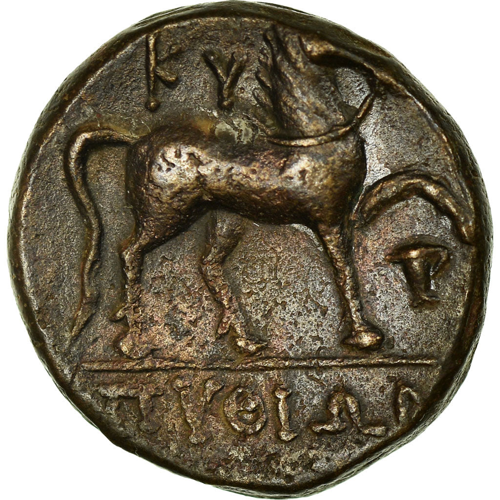 Münze, Aeolis, Kyme, Bronze Æ, Kyme, SS+, Bronze, BMC:70-2