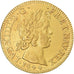 Moneda, Francia, Louis XIV, louis d'or à la mèche courte, 1644, Paris, MBC+