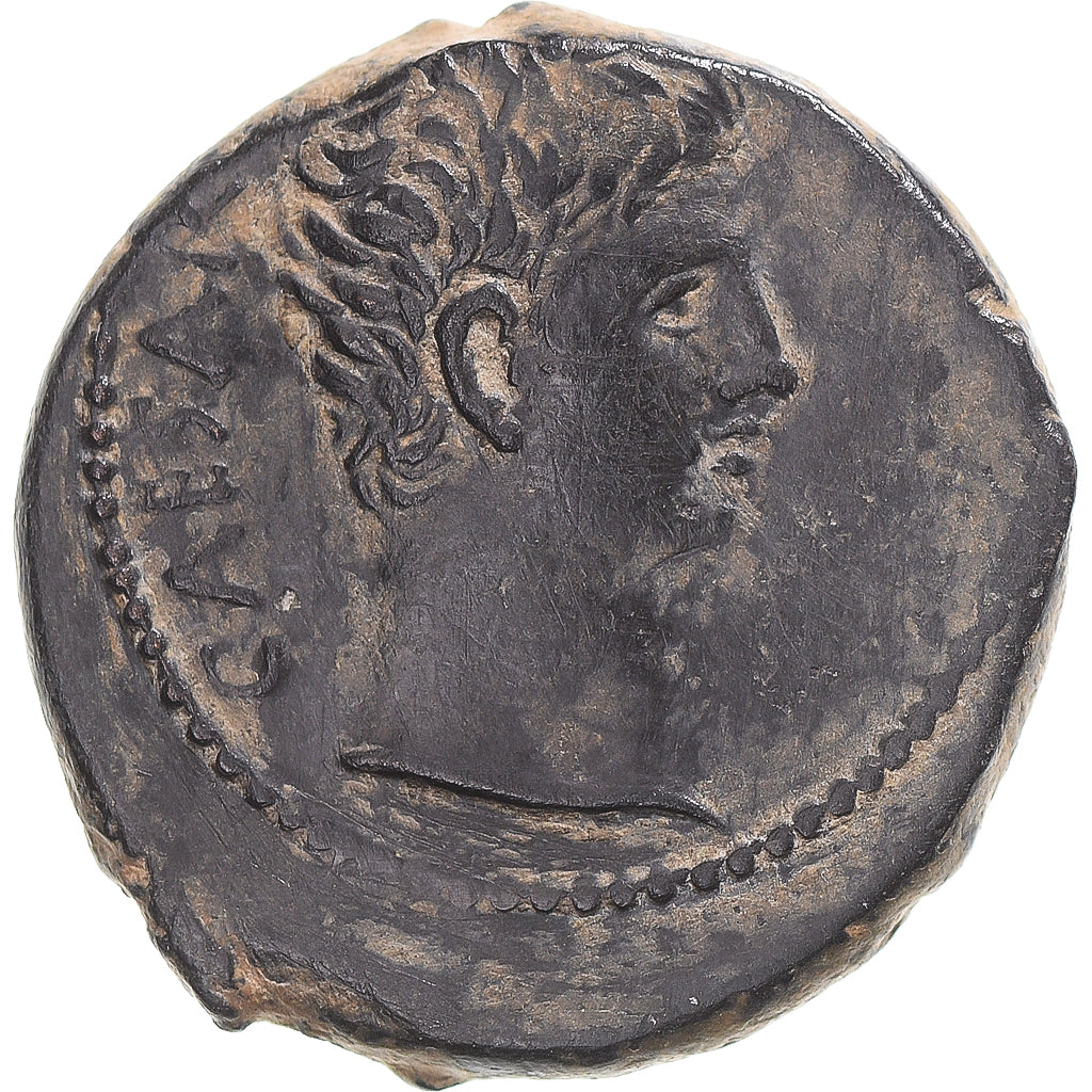 Coin, Seleucis and Pieria, Augustus, Æ, 27 BC-AD 14, Antioch, EF(40-45), Bronze